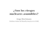 ¿Son los riesgos nucleares asumibles? Jorge Riechmann Profesor titular de filosofía moral en la UAM.