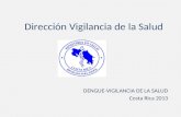 Dirección Vigilancia de la Salud DENGUE-VIGILANCIA DE LA SALUD Costa Rica 2013.