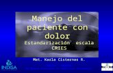 INDISA - NEORED Un Nuevo Concepto en Medicina Perinatal Manejo del paciente con dolor Estandarización escala CRIES Mat. Karla Cisternas R.