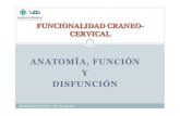 Funcionalidad Craneo-cervical 2011