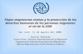 1 Flujos migratorios mixtos y la protección de los derechos humanos de las personas migrantes: el rol de la OIM San José, 11 de agosto del 2008 Daniel.