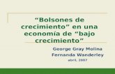 Bolsones de crecimiento en una economía de bajo crecimiento George Gray Molina Fernanda Wanderley abril, 2007.