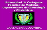 Universidad de Cartagena. Facultad de Medicina. Departamento de Ginecología y Obstetricia. Universidad de Cartagena. Facultad de Medicina. Departamento.