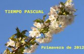 TIEMPO PASCUAL Primavera de 2012. ¡ Pascualín HOLA! Me llamo PASCUALÍN, y quiero hablarte del TIEMPO PASCUAL. Vaca Pascuala (Nada que ver con el Tiempo.