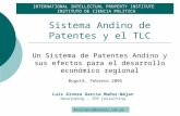 Sistema Andino de Patentes y el TLC Un Sistema de Patentes Andino y sus efectos para el desarrollo económico regional INTERNATIONAL INTELLECTUAL PROPERTY.