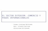 EL SECTOR EXTERIOR: COMERCIO Y PAGOS INTERNACIONALES Carmen Lizárraga Mollinedo Dpto. Economía Aplicada Universidad de Granada.