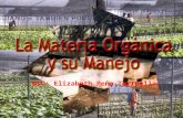 MsC: Elizabeth Peña Turruella.. La práctica productiva ha demostrado que un adecuado enriquecimiento de los suelos y sustratos con materia orgánica y.
