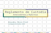 Reglamento de Custodia Antecedentes y Reformas Anayansy Rojas Chan Cartagena de Indias, 2006.