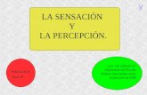 LA SENSACIÓN Y LA PERCEPCIÓN. I.E.S. AL-ANDALUS. Departamento de Filosofía. Profesor: Juan Jiménez Arana. Arahal, Enero de 2006. PSICOLOGÍA Tema: III y.