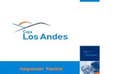 ASIGNACION FAMILIAR PRESTACIONES ADICIONALES GERENCIA DE OPERACIONES C.C.A.F. DE LOS ANDES Octubre 2006 Asignación Familiar.