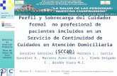 Servicio Canario de la Salud Gerencia de Atención Primaria Área de Salud de Gran Canaria Perfil y Sobrecarga del Cuidador formal no profesional de pacientes.
