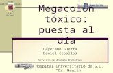 Hospital Universitario de G.C. Dr. Negrín Cayetano Guerra Daniel Ceballos Servicio de Aparato Digestivo Megacolon tóxico: puesta al día Foro Gastroenterología.