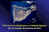 XXIII Curso de Actualización en Patología Digestiva S/C de Tenerife. 30 de Marzo de 2004.