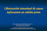 Obstrucción intestinal de causa infrecuente en adulto joven Goya A.; Hernández M..; Gianchandani R.; Concepción V.; Díaz J.G.; Jordán J.; López E.; Hernández.