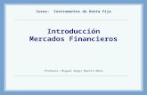 Introducción Mercados Financieros Curso: Instrumentos de Renta Fija Profesor: Miguel Angel Martín Mato.