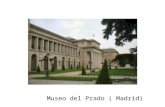 Museo del Prado ( Madrid). El museo del Prado es un edificio construido únicamente para dar un espacio de cultura y un lugar donde poder exponer grandes.