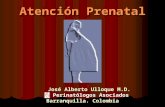 Atención Prenatal José Alberto Ulloque M.D. José Alberto Ulloque M.D. Perinatólogos Asociados Barranquilla. Colombia.