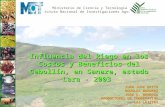 Ministerio de Ciencia y Tecnología Instituto Nacional de Investigaciones Agrícolas Influencia del Riego en los Costos y Beneficios del Cebollín, en Sanare,