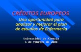 CRÉDITOS EUROPEOS Una oportunidad para analizar y mejorar el plan de estudios de Enfermería Universidad de Almería 5 de febrero de 2004.