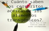 ¿ Cuánto saben los cerebritos acerca de los alimentos transgénicos? Sandra León y David Ruiz 1º CIT Ciencias para el mundo contemporáneo.