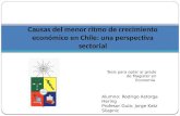 Causas del menor ritmo de crecimiento económico en Chile: una perspectiva sectorial Tesis para optar al grado de Magister en Economía Alumno: Rodrigo Astorga.