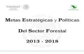 M etas E stratégicas y P olíticas D el S ector F orestal 2013 - 2018.