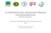 LA EXPERIENCIA DEL PROGRAMA FORESTAL CENTROAMERICANO PERFOR 2013-2017 ALGUNAS SUGERENCIAS PARA ACCIONES EN EL 2014 TALLER REGIONAL DICIEMBRE 2013 PROYECTO.