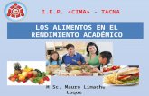 M Sc. Mauro Limache Luque. Desarrollar la responsabilidad de los padres de familia, familiares y la institución en materia de alimentación en el rendimiento.