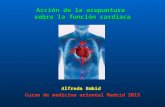 Acción de la acupuntura sobre la función cardiaca Alfredo Embid Curso de medicina oriental Madrid 2013.