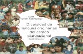 Diversidad de Lengua Originaria en Bolivia