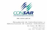 Recaudación de Contribuciones y Administración de Cuentas Indviduales El Caso de México Seminario AIOS-FIAP Lima, Perú. Diciembre 2002 .