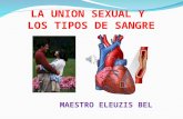 LA UNION SEXUAL Y LOS TIPOS DE SANGRE MAESTRO ELEUZIS BEL.