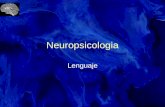 Neuropsicologia Lenguaje. Pierre Paul Broca Describe en 1861 paciente que podía comprender lenguaje, pero no hablar ni expresarse por escrito. 8 pacientes.