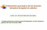 Tratamiento quirúrgico de las lesiones del plexo braquial en adultos Autor: Dr. Ricardo Monreal González Trabajo publicado en International Orthopaedics,