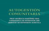 AUTOGESTIÓN COMUNITARIA PROF ANGÉLICA MARTÍNEZ DÍAZ CATEDRÁTICA DE EXTENSIÓN DRC SERVICIO DE EXTENSIÓN AGRÍCOLA.