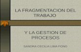 LA FRAGMENTACION DEL TRABAJO Y LA GESTION DE PROCESOS SANDRA CECILIA LIMA FONG.