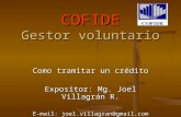 COFIDE Gestor voluntario Como tramitar un crédito Expositor: Mg. Joel Villagrán R. E-mail: joel.villagran@gmail.com.