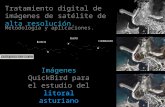 Tratamiento digital de imágenes de satélite de alta resolución. Metodología y aplicaciones. Imágenes QuickBird para el estudio del litoral asturiano.