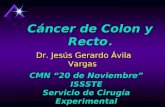 Cáncer de Colon y Recto. Dr. Jesús Gerardo Ávila Vargas CMN 20 de Noviembre ISSSTE Servicio de Cirugía Experimental.