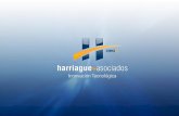 Harriague + Asociados es una empresa de Tecnología para la Información, fundada en 1994. La consolidación económica e institucional, se produce gracias.