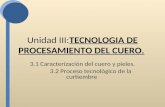 Unidad III:TECNOLOGIA DE PROCESAMIENTO DEL CUERO. 3.1 Caracterización del cuero y pieles. 3.2 Proceso tecnológico de la curtiembre.