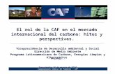 Corporación Andina de Fomento – CAF El rol de la CAF en el mercado internacional del carbono: hitos y perspectivas. Vicepresidencia de Desarrollo ambiental.