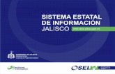 Estudio de derrama económica Generada por los visitantes y compradores que concurren en Villa Hidalgo, Jalisco en el periodo de noviembre - diciembre.