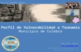 Perfil de Vulnerabilidad a Tsunamis Municipio de Culebra Roy Ruiz Vélez roy.ruiz1@upr.edu Auxiliar de Investigaciones II Técnico-Especialista SIG Programa.