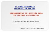 HERRAMIENTAS DE GESTIÓN PARA LA CALIDAD ASISTENCIAL 1º FORO SANITARIO HOSPITAL DE MOLINA 13 DE MAYO DE 2008 MOLINA DE SEGURA AGUSTÍN RIVERO CUADRADO.