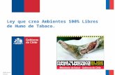 Gobierno de Chile / Ministerio de Salud Lineamientos comunicacionales Subsecretaría de Salud Pública Dr. Jorge Díaz Anaíz Octubre 2012 Ley que crea Ambientes.