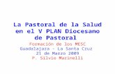 La Pastoral de la Salud en el V PLAN Diocesano de Pastoral Formación de los MESC Guadalajara - La Santa Cruz 21 de Marzo 2009 P. Silvio Marinelli.