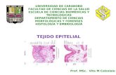 1.) Tejido Epitelial - Prof. Vita Calzolaio
