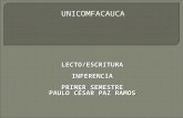 Inferencia Estudiantes LectoEscritura Unicomfacauca
