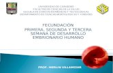 2.) Fecundación, 1ra, 2da y 3ra Semana de Desarrollo - Prof. Merlin Villamizar